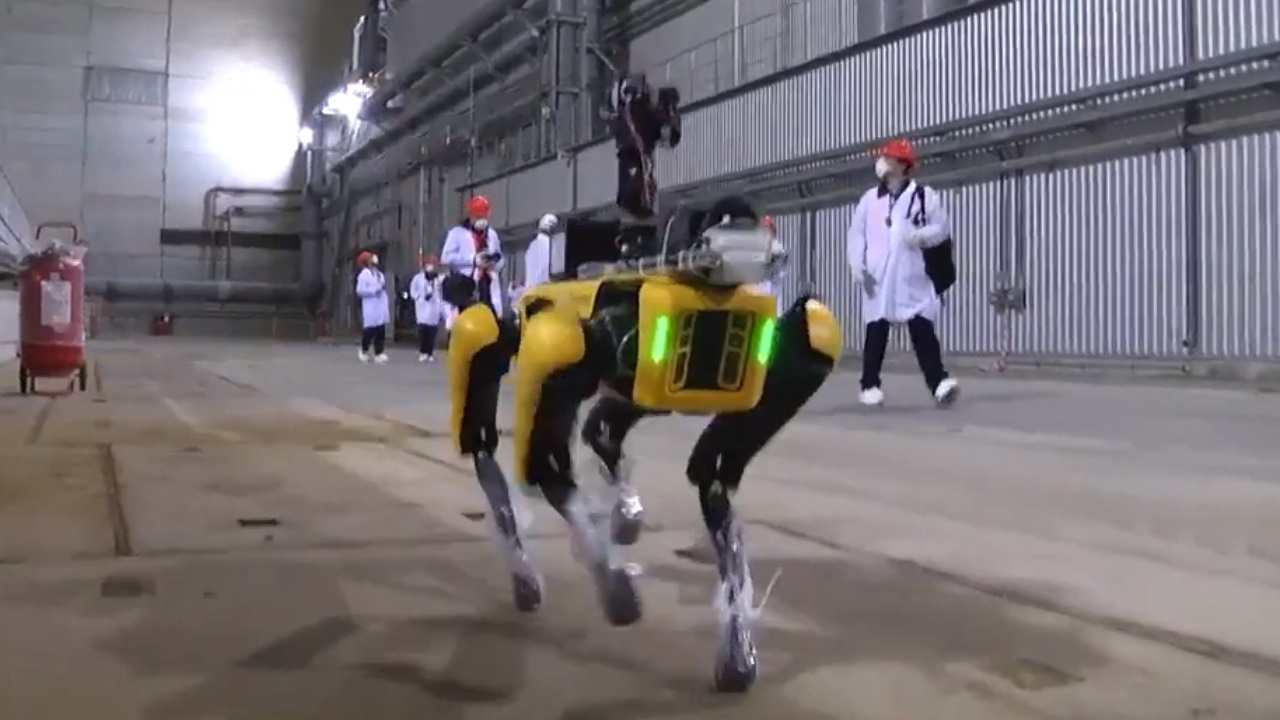 Cane-robot 
