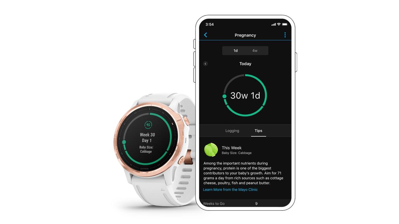 Garmin Pregnancy Tracking 