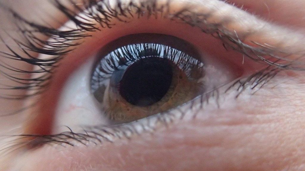 cornea sintetica