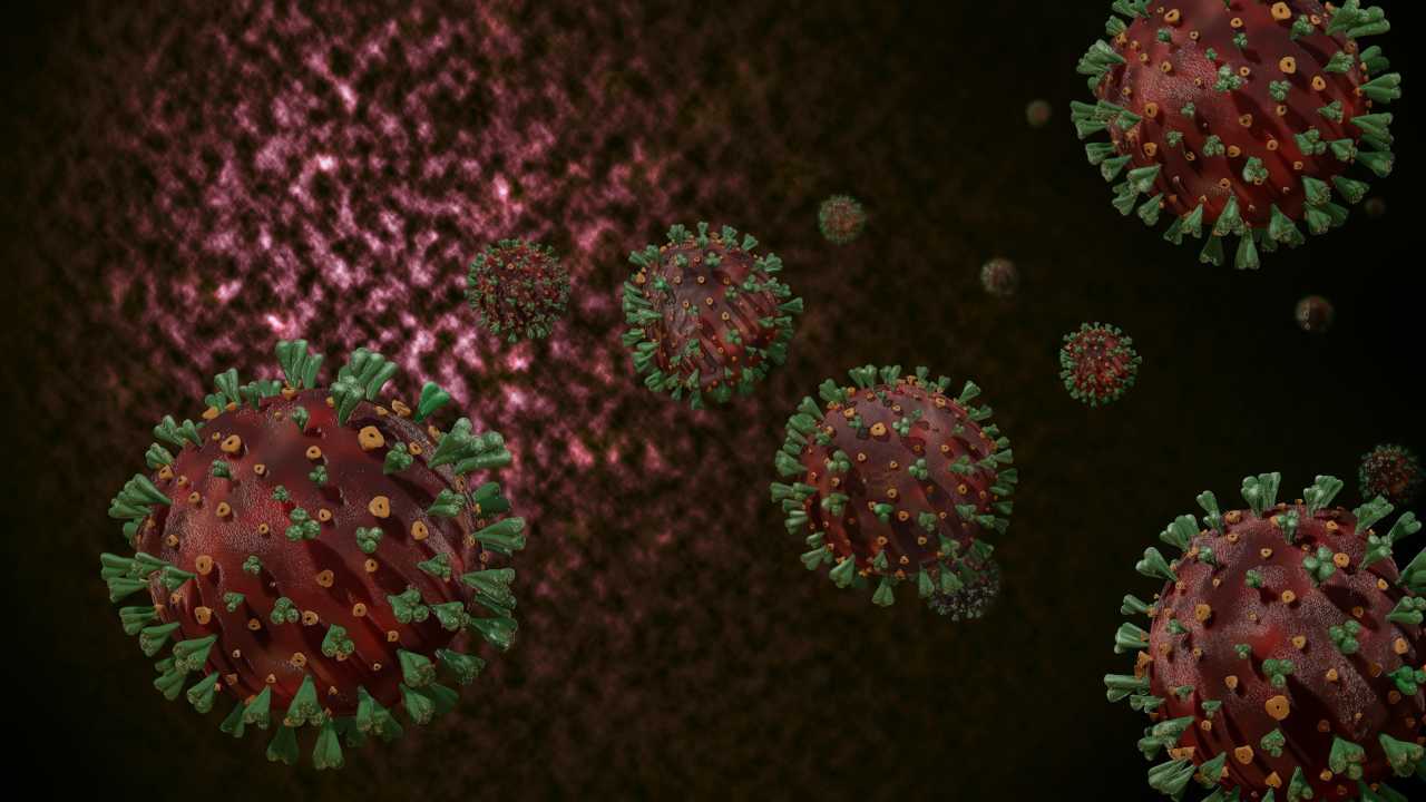 Variante californiana coronavirus