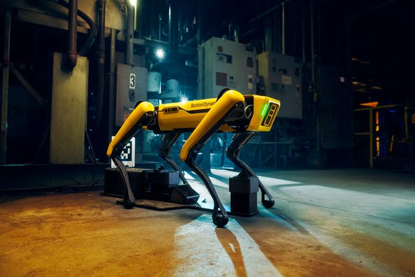 Boston Dynamics cane robot braccio