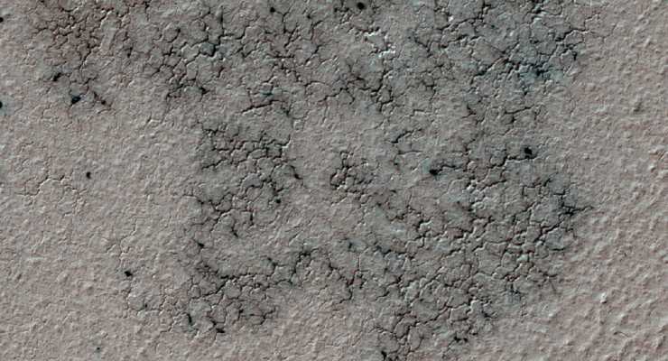 Trovati ragni su Marte (Foto Sputnik)
