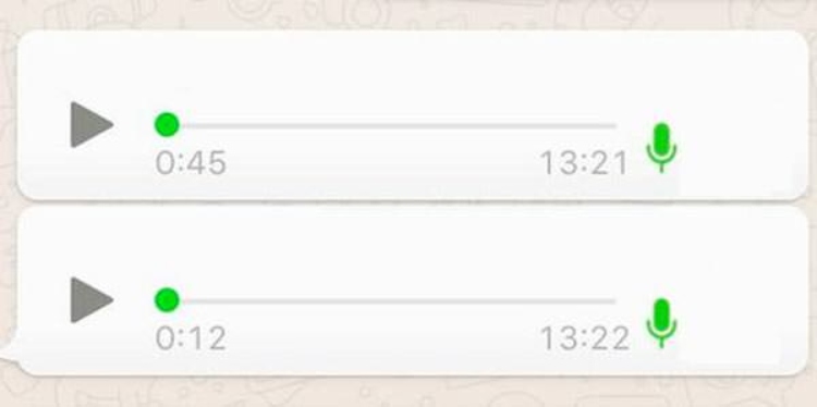 WhatsApp, messaggi vocali (Foto Wiselyguide.com)