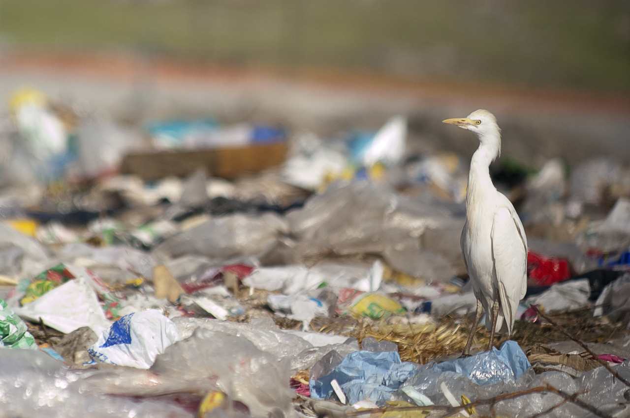 L'inquinamento da plastica sta arrivando all'atmosfera terrestre (Adobe Stock)