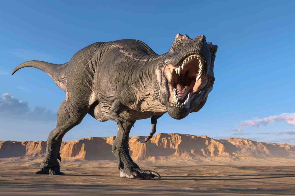 Tirannosaurus Rex (Adobe Stock)