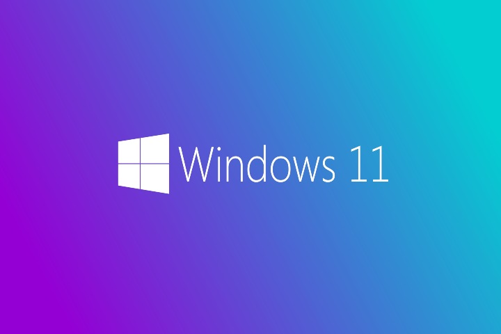 Windows 11