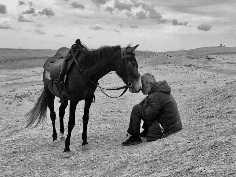 iPPa 2021, le più belle foto fatte con un iPhone