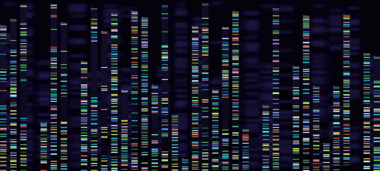 L'IA ha decodificato il proteoma umano (foto Adobestock)