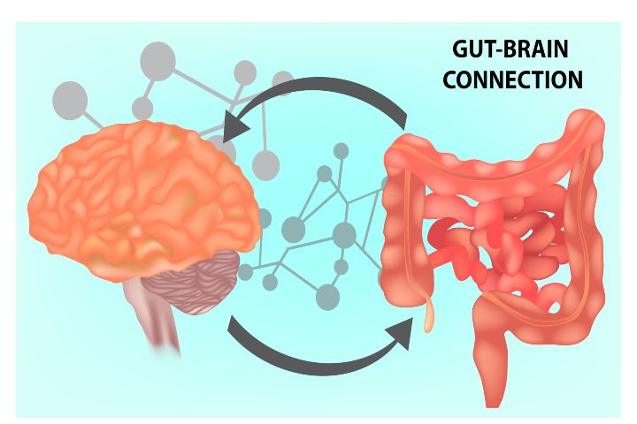 Cervello intestino