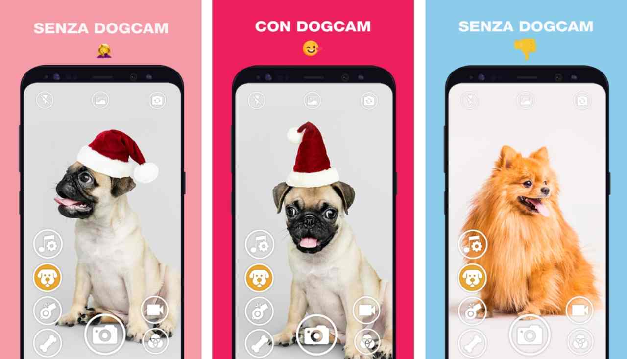 App DogCam