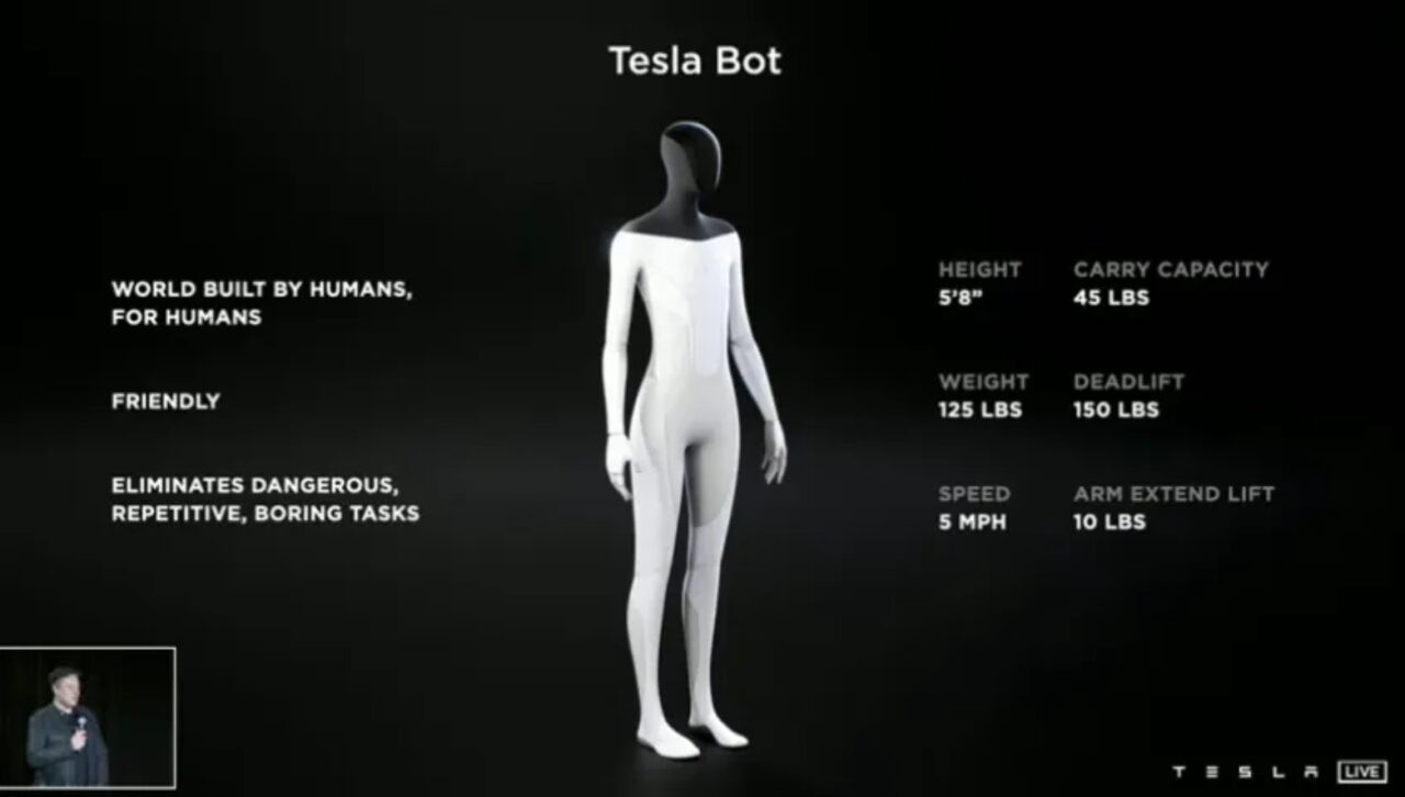 Tesla Bot