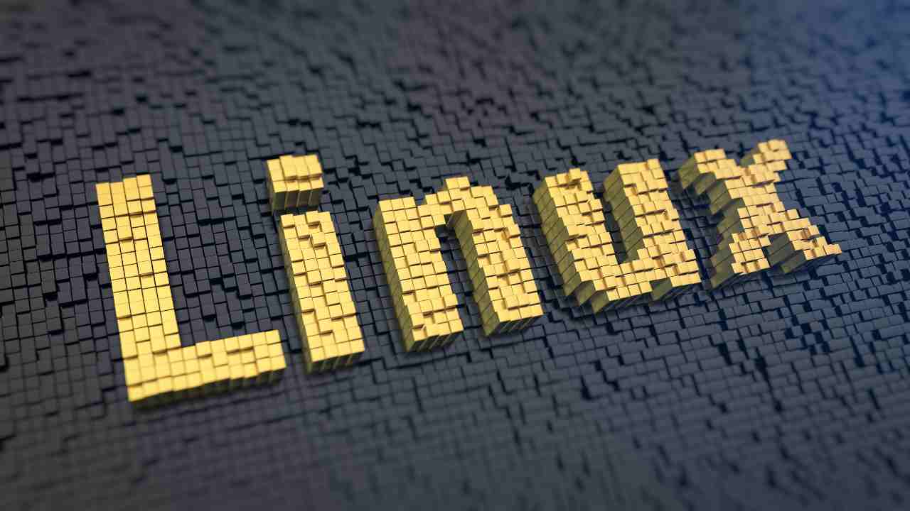 Linux, il sistema operativo festeggia i 30 anni (Adobe Stock)