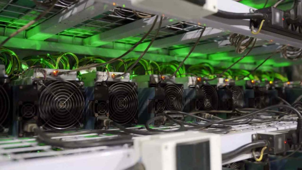 Miner di Bitcoin uniti contro l'inquinamento (Foto Stormgain)