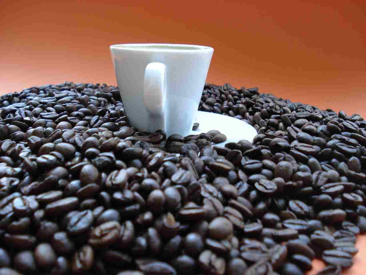 Arriva il caffè sintetico buono come quello vero (Adobe Stock)