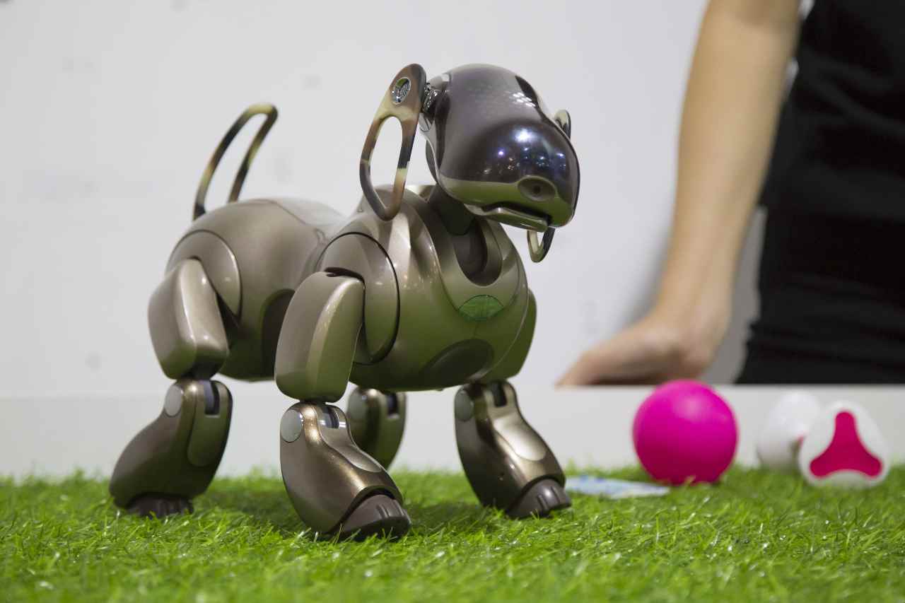 Cane robotico (Adobe Stock)