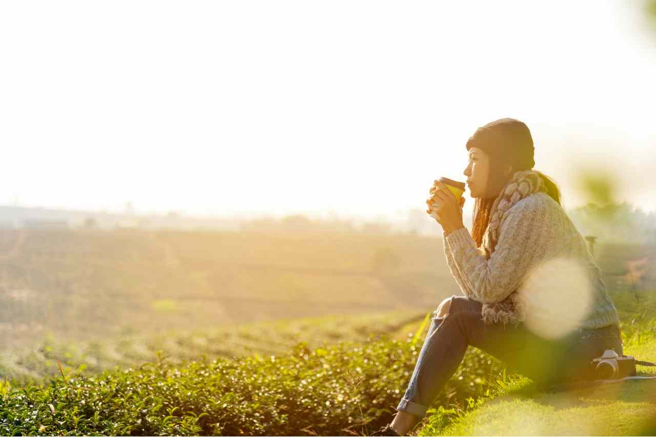 Deforestazione in calo con il caffè sintetico (Adobe Stock)