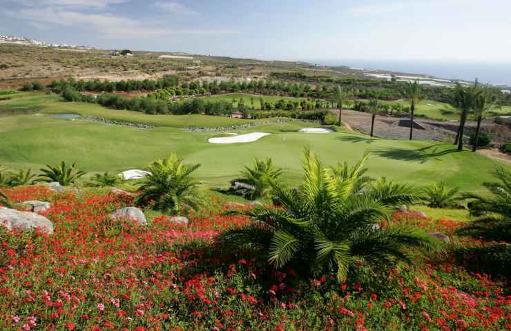 Isole Canarie