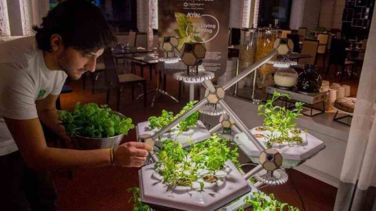 Living Farming Tree (Foto Efanews.eu)