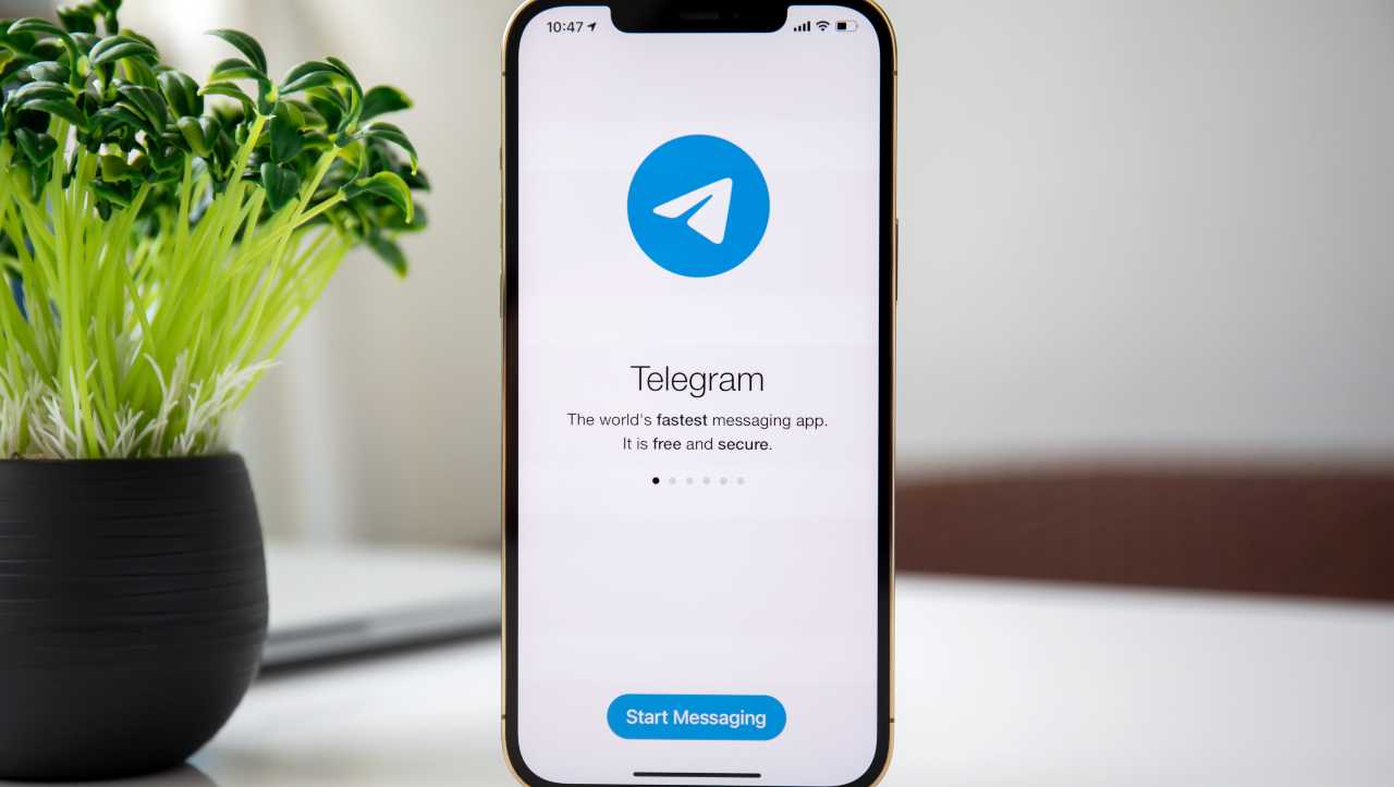 Il fondatore di Signal si scaglia contro Telegram mettendo in discussione la sicurezza dell'app