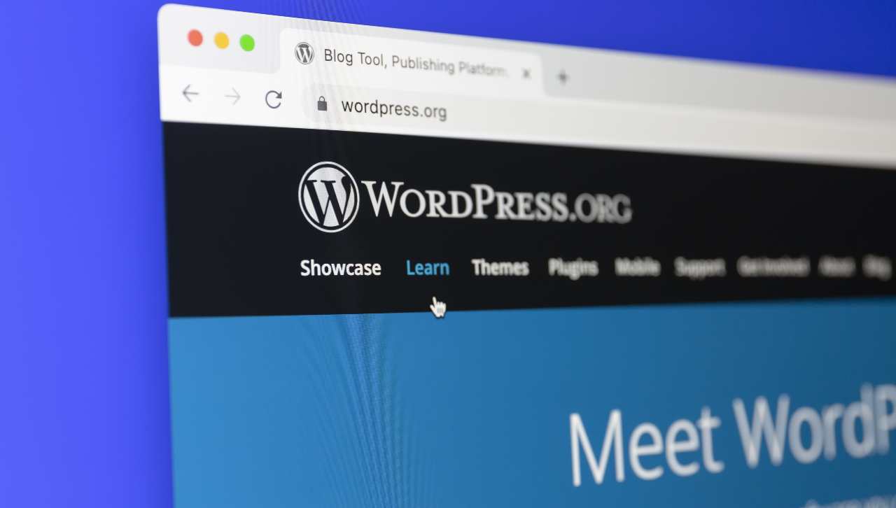 WorldPress, trovata ed sistemata pericolosa falla sui plugin