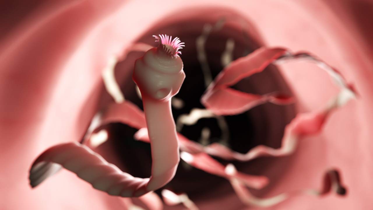 Innovazione medica: ora saranno dei vermi dentro ad un dispositivo a fare lo screening del cancro "fiutandolo"