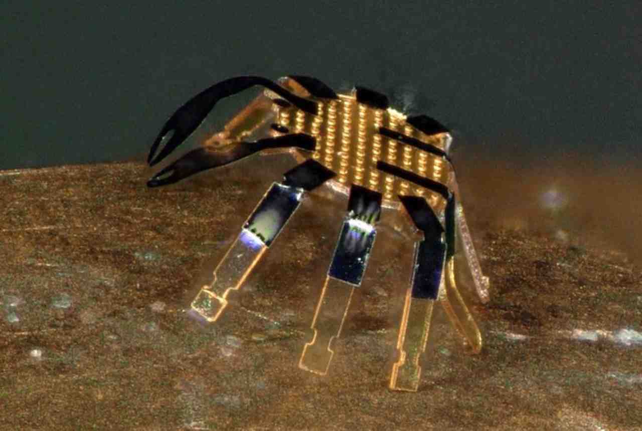 Microbot a forma di granchio, 30/5/2022 - Computermagazine.it