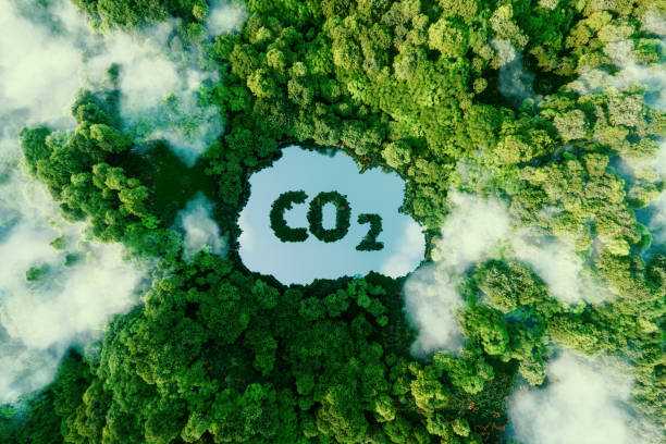 Emissioni CO2 202207 cmag