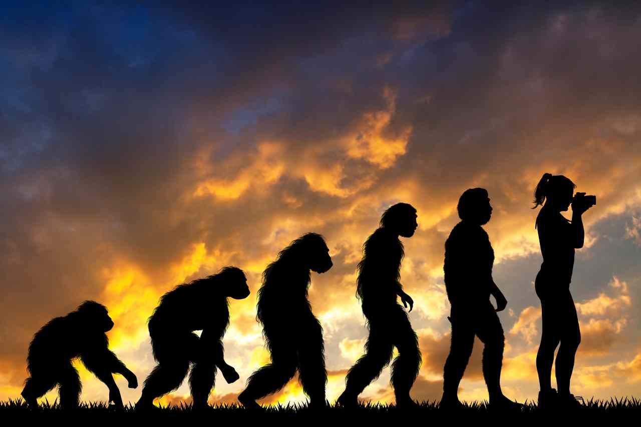 Evoluzione della specie 20220727 cmag