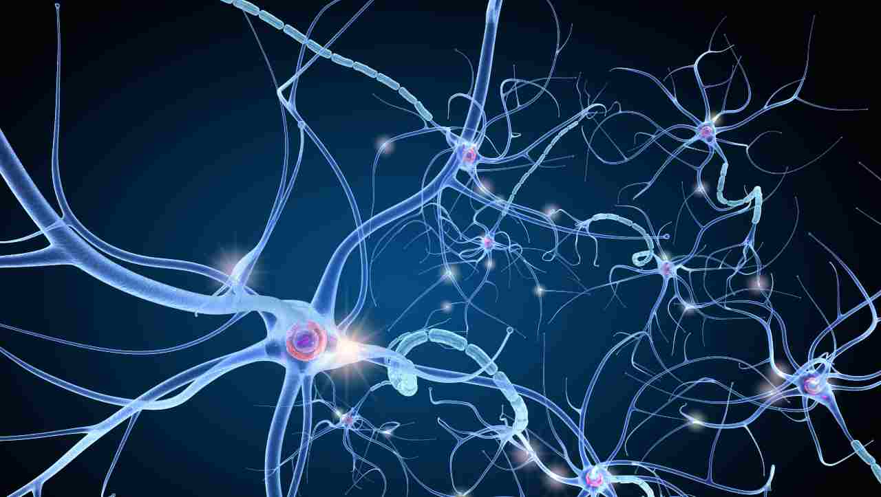 Abbiamo creato il primo neurone artificiale, è 1 milione volte più potente di quello naturale e servirà alle AI