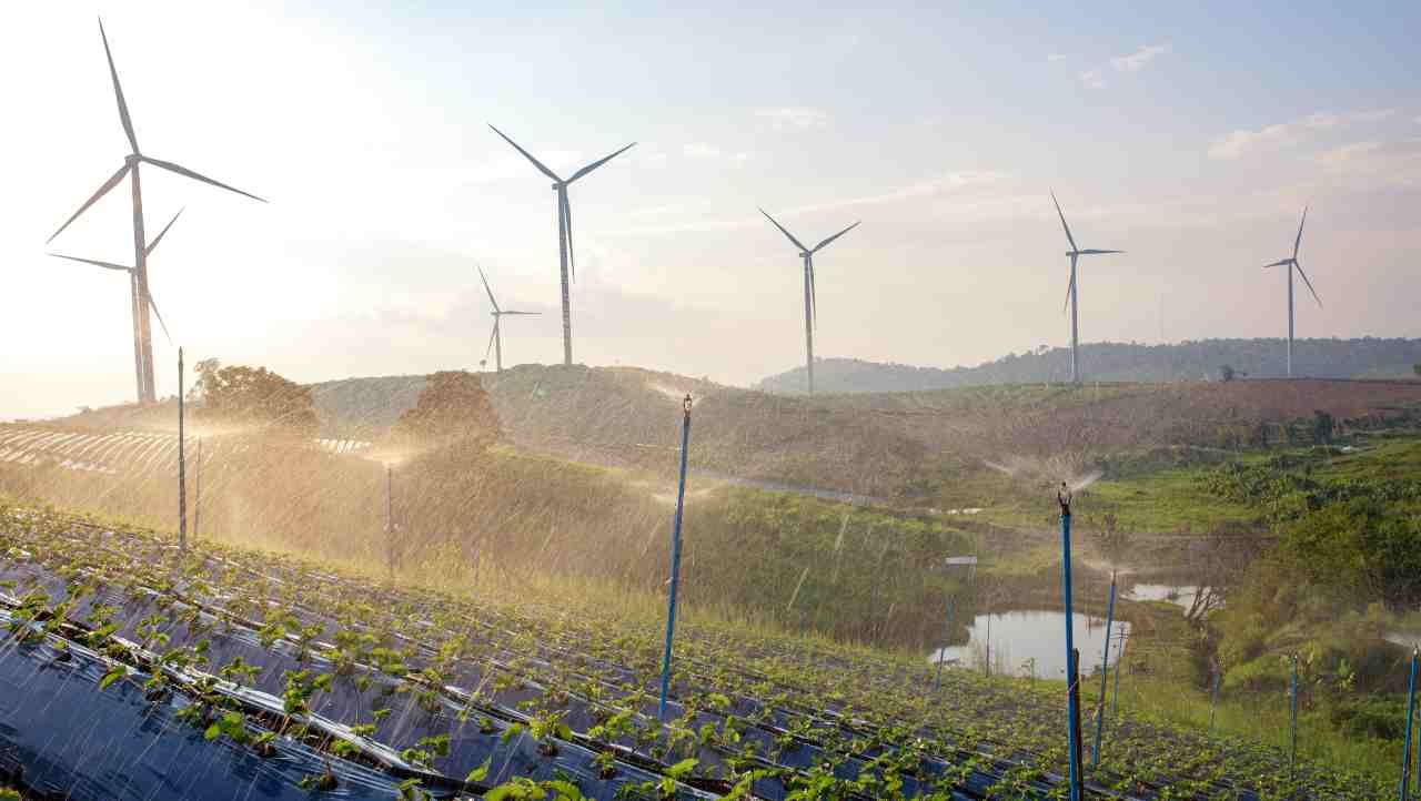 Ora le AI ci aiuteranno nell'agricoltura per migliorare l'efficienza della semina e le coltivazioni di grano