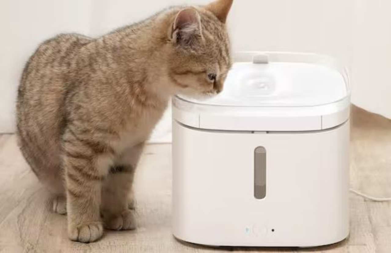 Xiaomi Pet, 22/9/2022 - Computermagazine.it