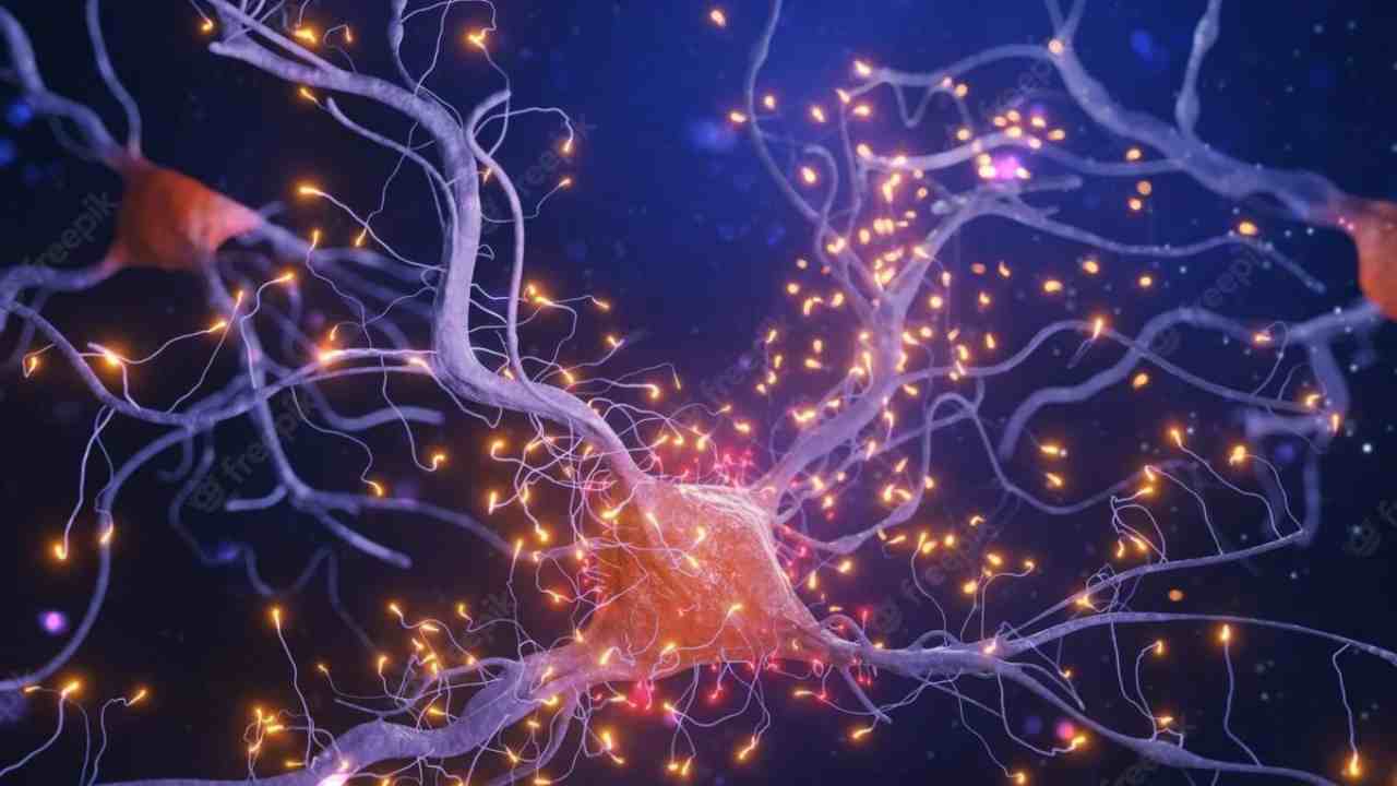 Insegnare ai neuroni a giocare a Pong: la svolta scientifica che strizza l'occhio agli anni '70