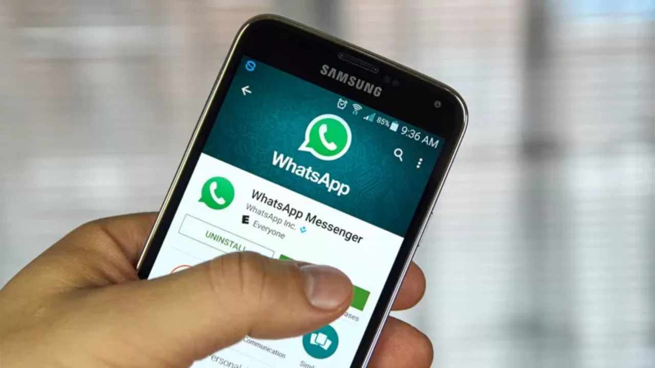 Whatsapp, l'ultimo aggiornamento riguarda le schede contatti, cosa cambia sull'app?