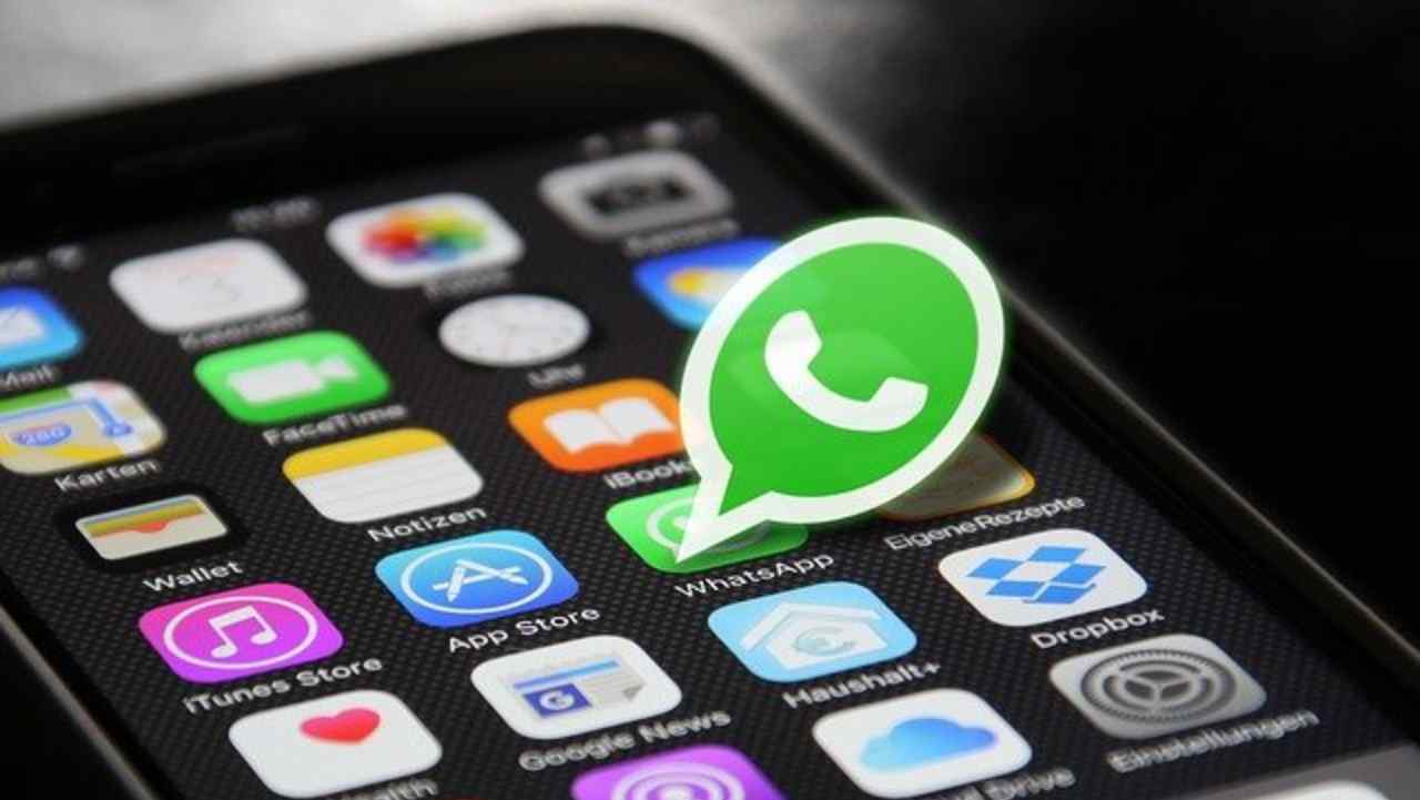 Aggiornamento Whatsapp Beta: arriva la ricerca per data, finalmente l'utile funzione sarà per tutti