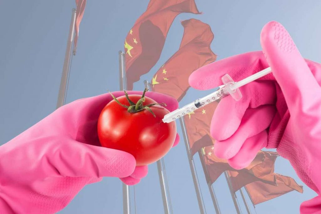 cina autorizza nuove piante geneticamente modificate