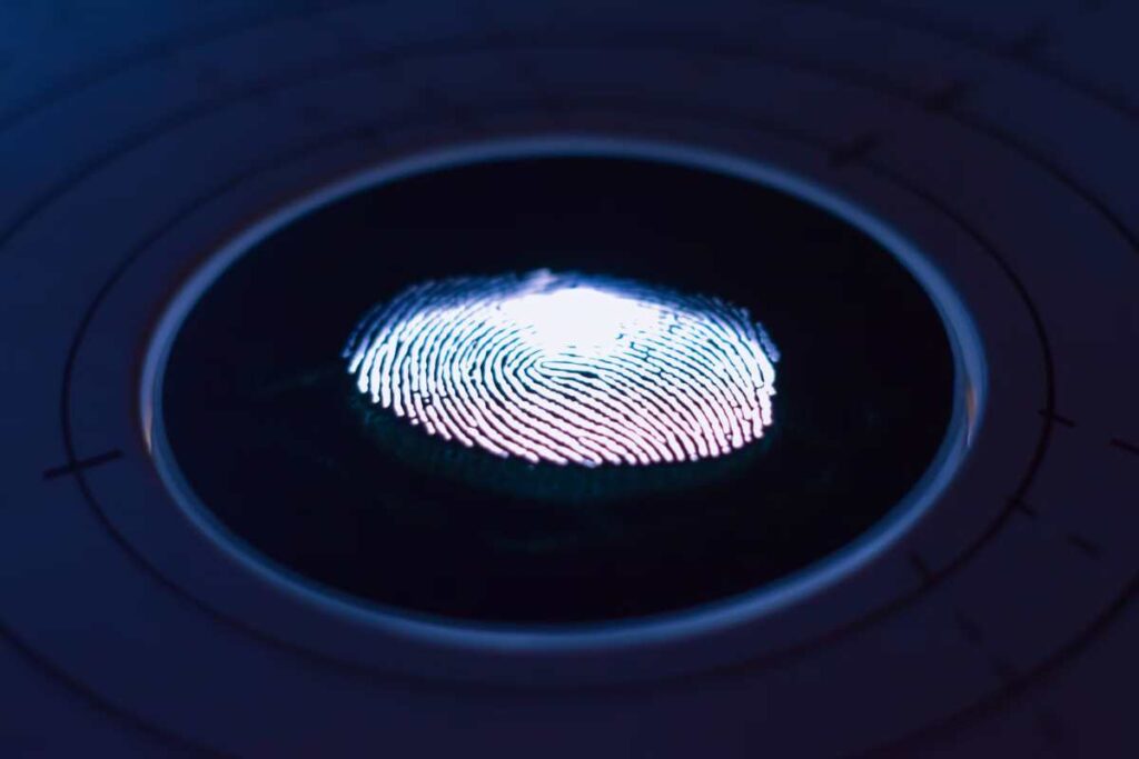 Cos'è la pennetta con impronta digitale