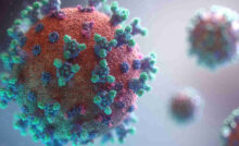 Virus